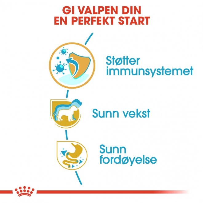 Royal Canin Jack Russell Terrier Puppy tørrfôr til hundvalp