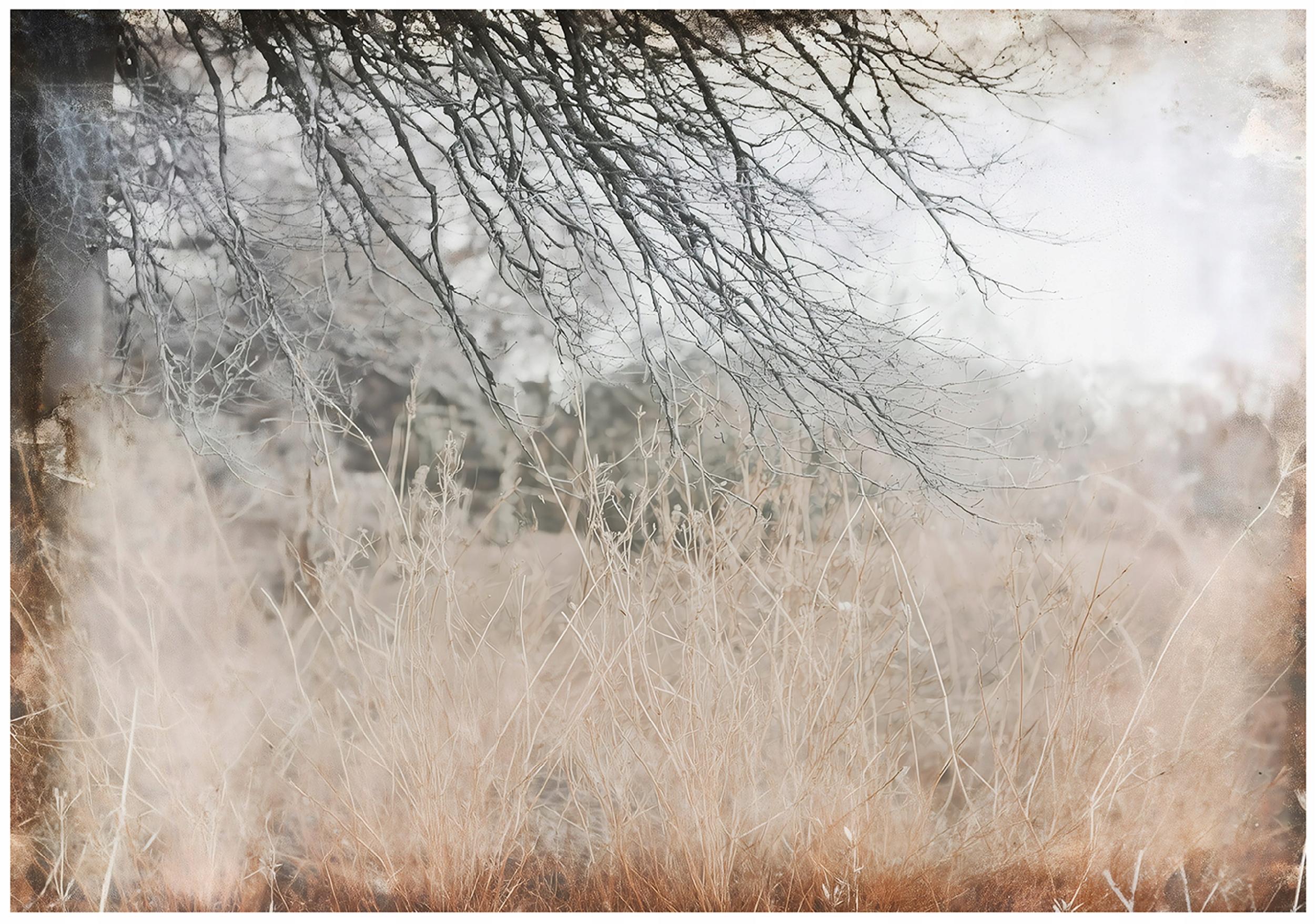 Retro abstract wall mural featuring branches, perfect for the bedroom or living room