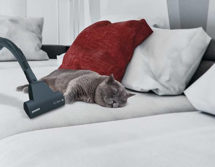 HOOVER - Aspirapolvere a traino BR31PET-Nero