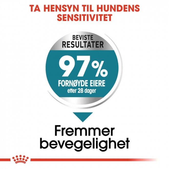 Royal Canin Joint Care Maxi Adult tørrfôr til hund