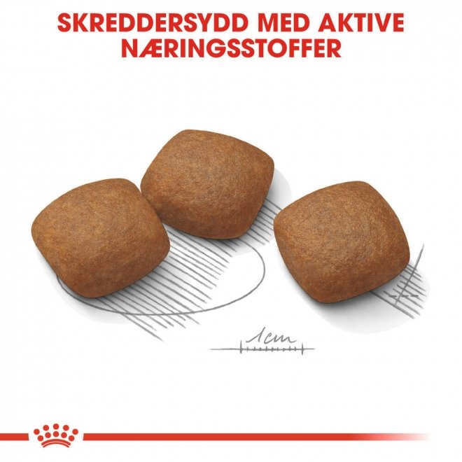 Royal Canin Joint Care Maxi Adult tørrfôr til hund