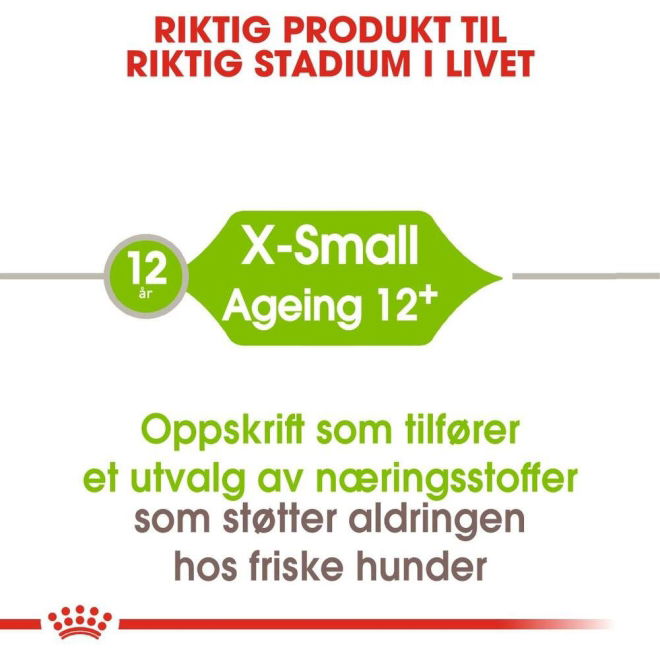 Royal Canin X-small Ageing 12+ tørrfôr til hund