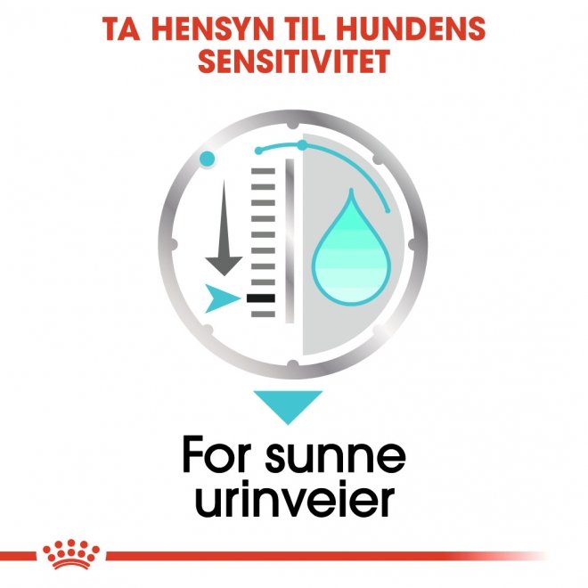Royal Canin Urinary Care Adult Loaf våtfôr til hund 12x85 g