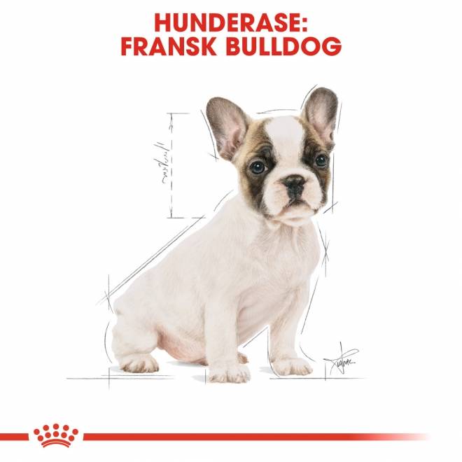 Royal Canin French Bulldog Puppy tørrfôr til hundvalp