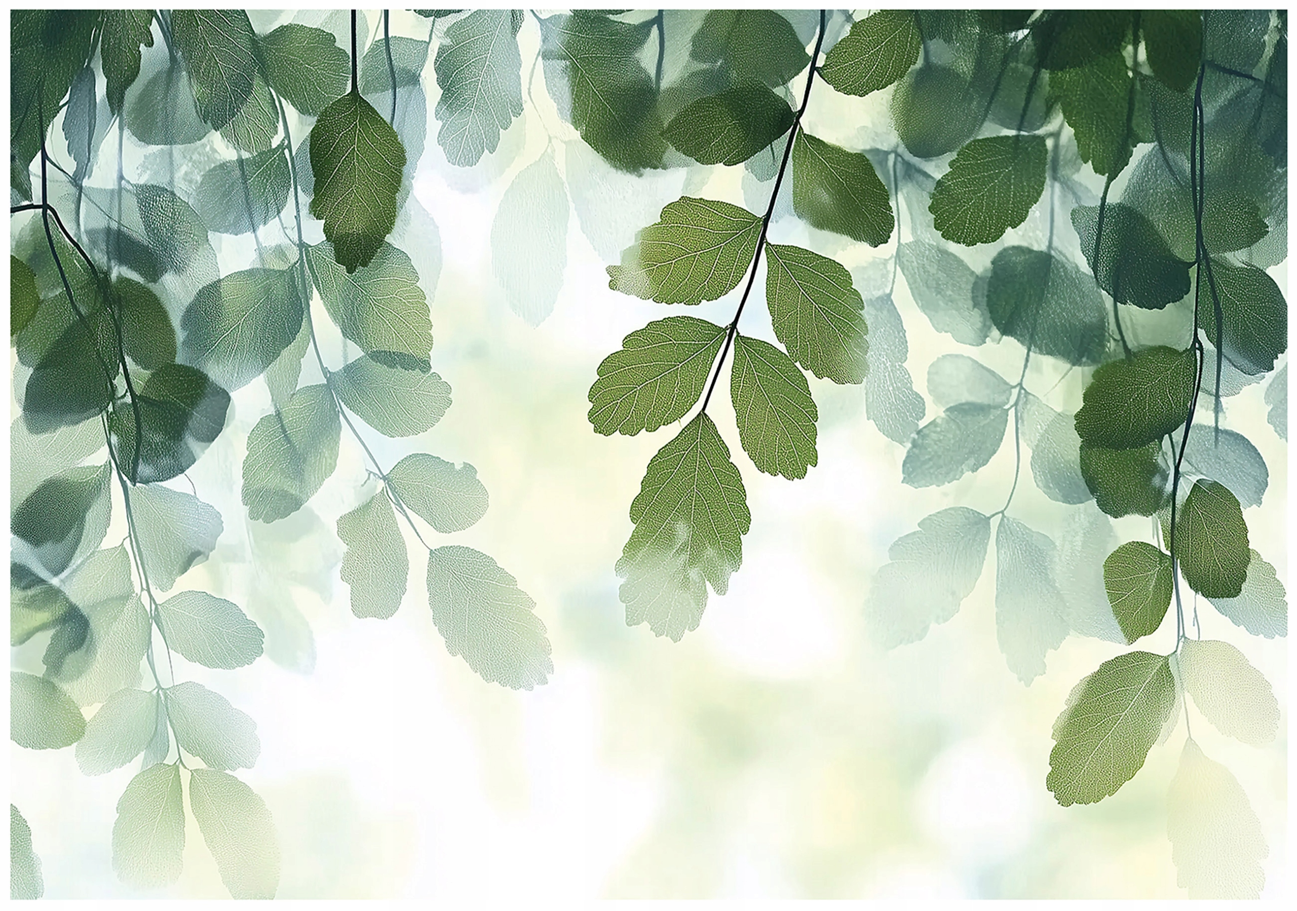 Wall mural leaves green nature bedroom living room wallpaper non-woven