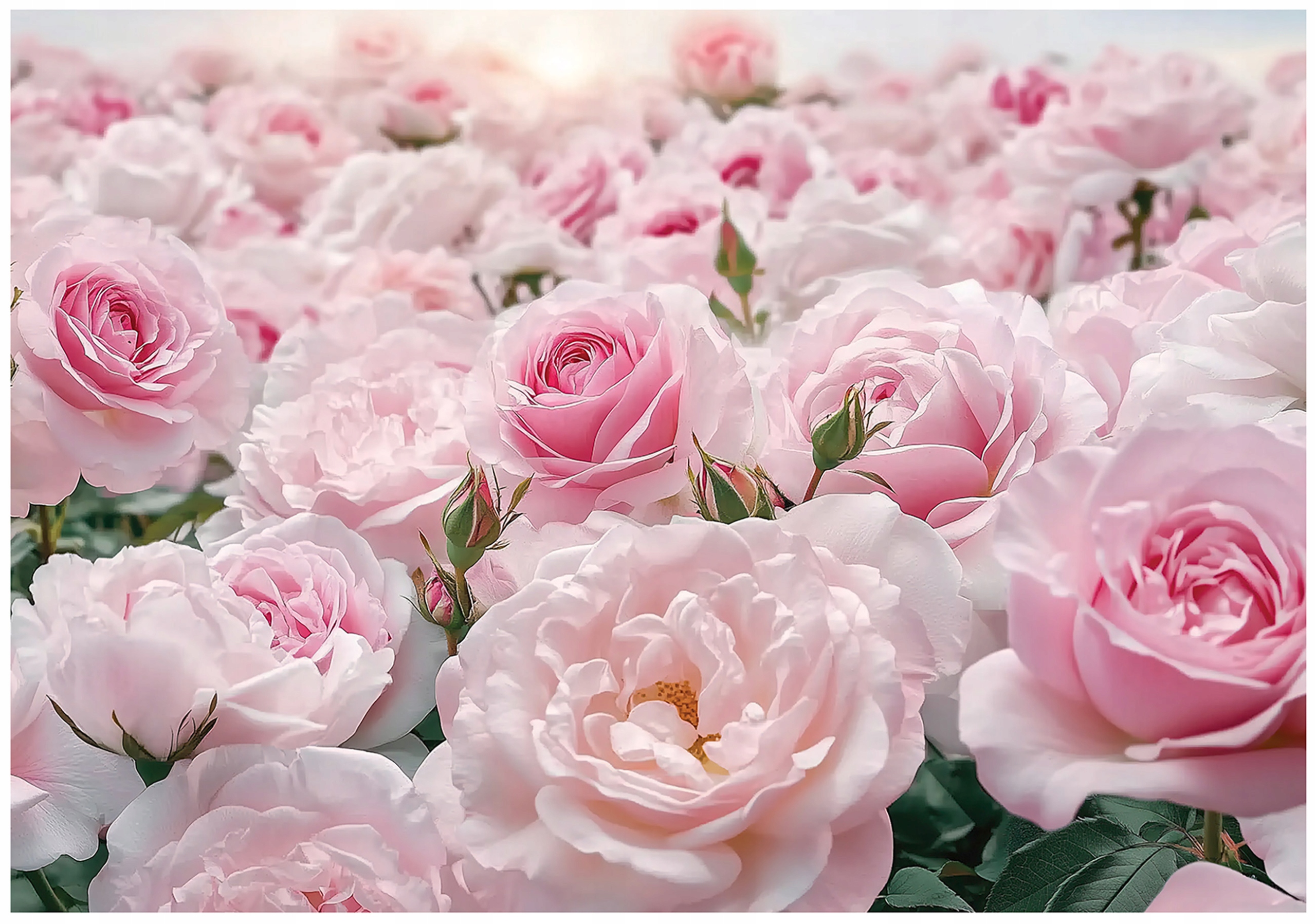 Pastel rose flower wall mural for bedroom or living room, non-woven wallpaper,