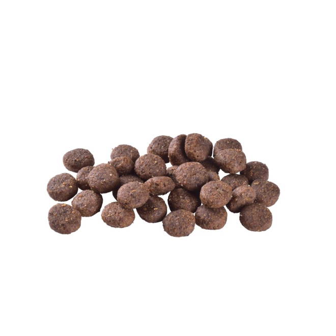 Brit Care Dog Sustainable Adult Medium Breed Chicken & Insect
