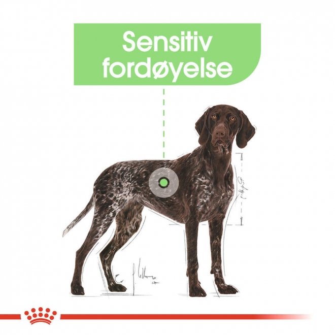Royal Canin Digestive Care Maxi Adult tørrfôr til hund