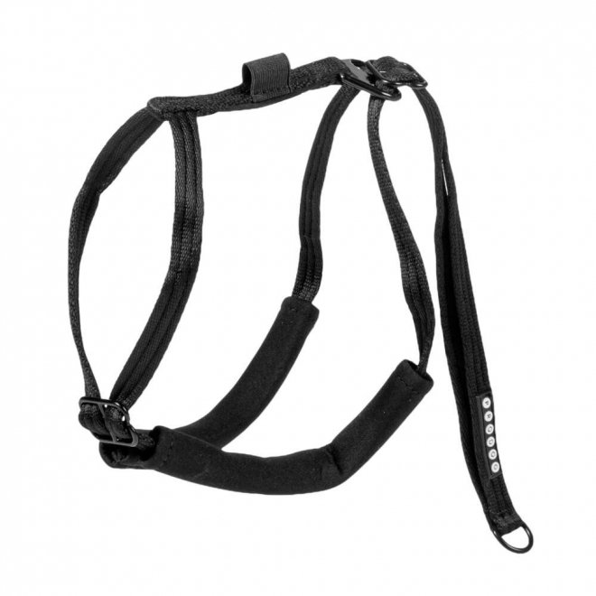 Pro Dog antitrekksele, sort