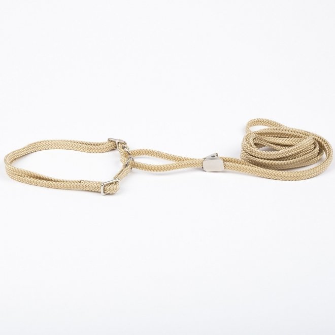 Show Dog Show lead flat halvstrup med klips, Beige