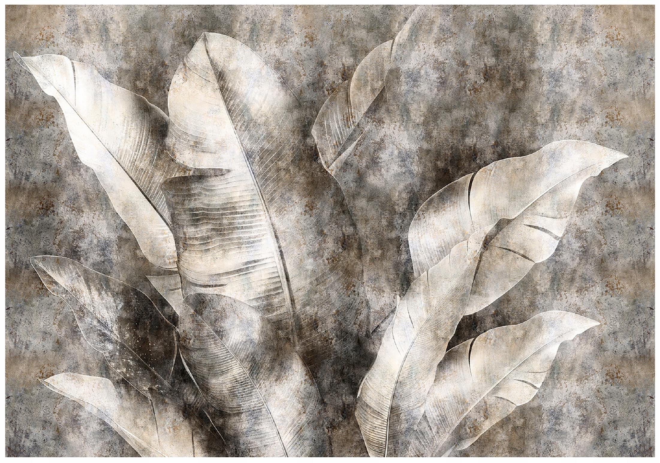 Banana Leaves Gray Wall Mural for Bedroom or Living Room (Non-Woven, 150x105)