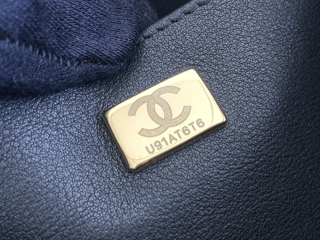 23A Fall-Winter Pre-Collection Hobo Bag in Black Calfskin with Braided Strap & Gold-Tone Hardware (Model AS4210) - Mocuir