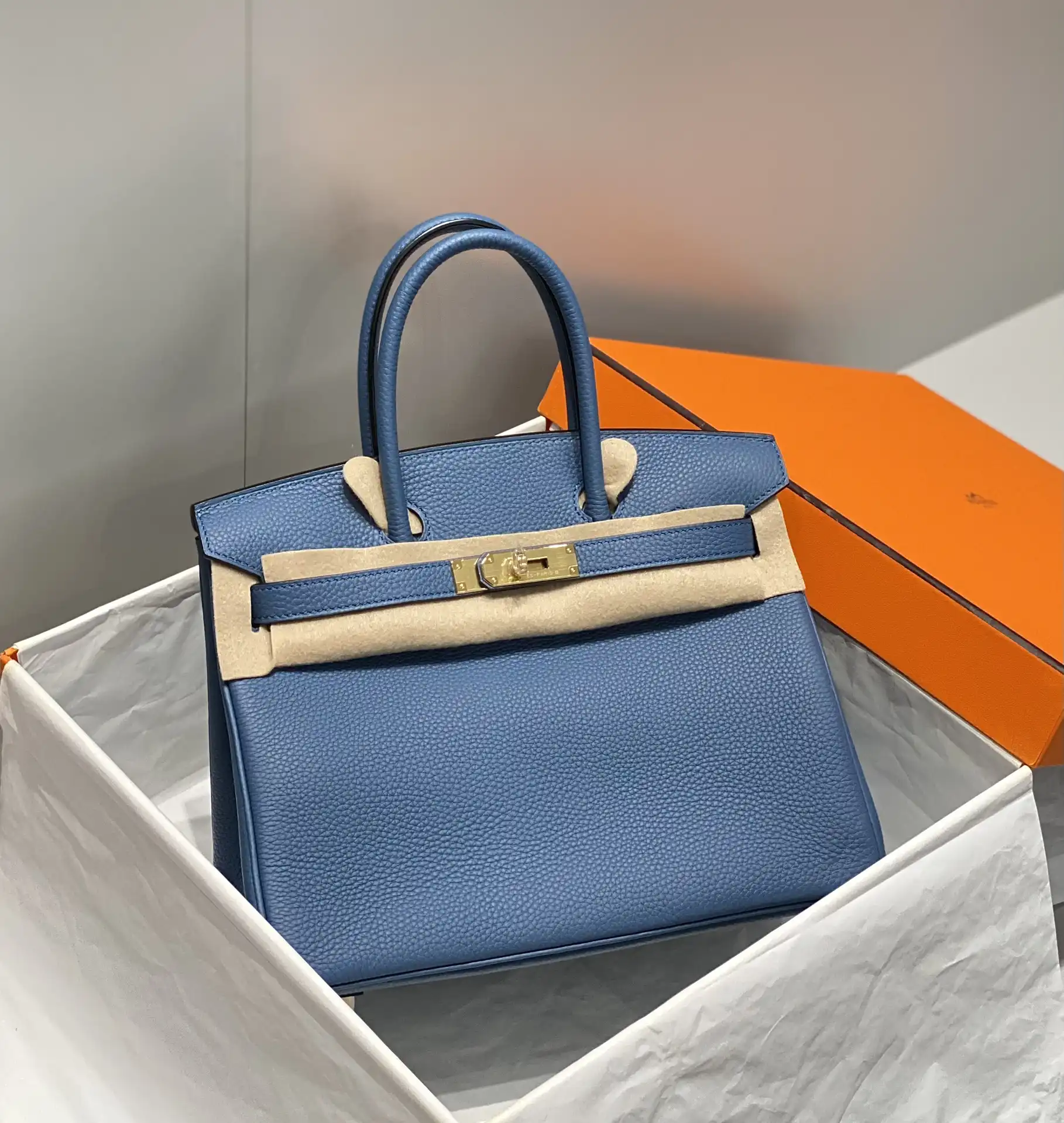 Togo Birkin 25