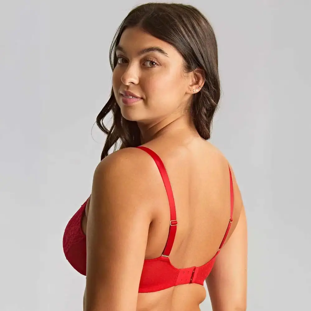 Panache Heidi Plunge Bra