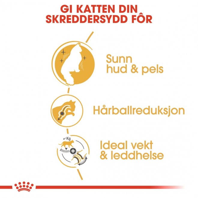 Royal Canin Norwegian Forest Cat Adult tørrfôr til katt