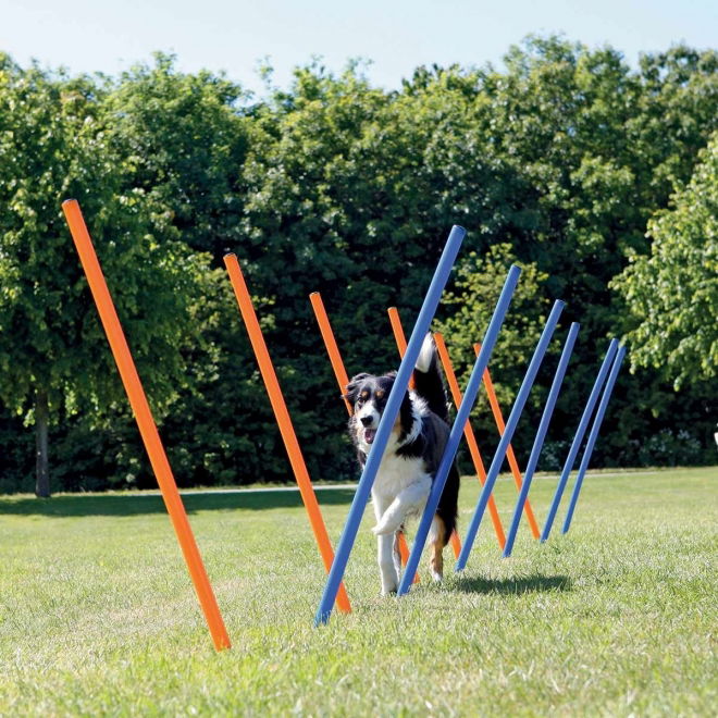 Trixie Agility Slalompinner 12-pk