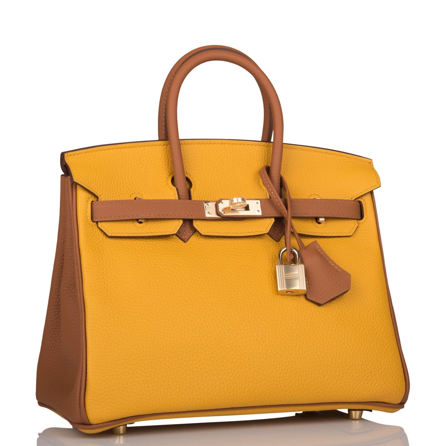 Special Order (HSS) Birkin 25 Jaune Ambre and Gold Togo Permabrass Hardware