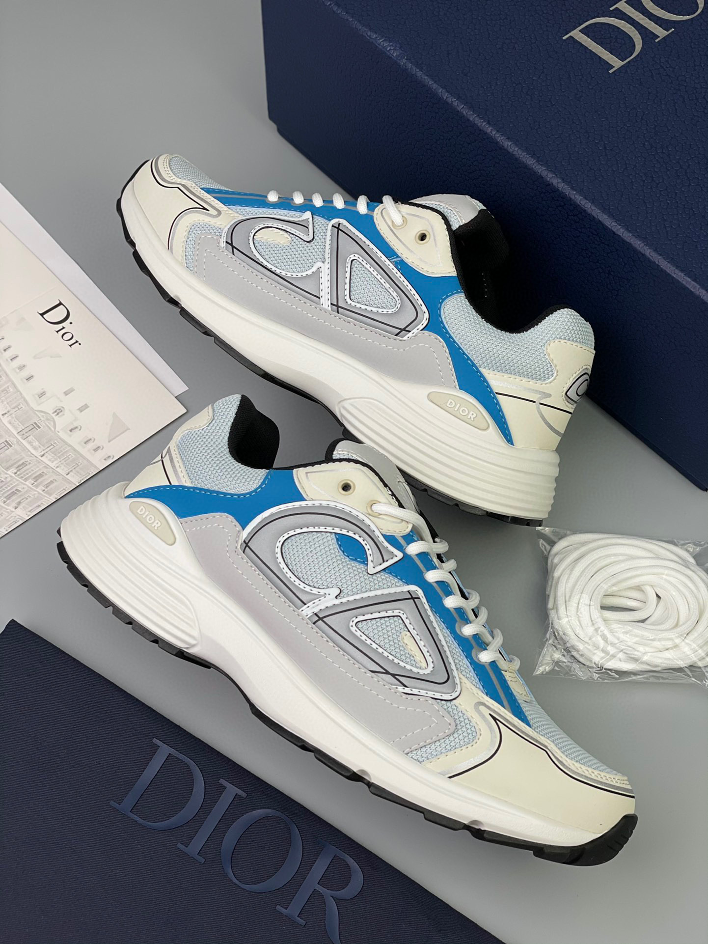 Dior B30 Sneaker – DIOR1231