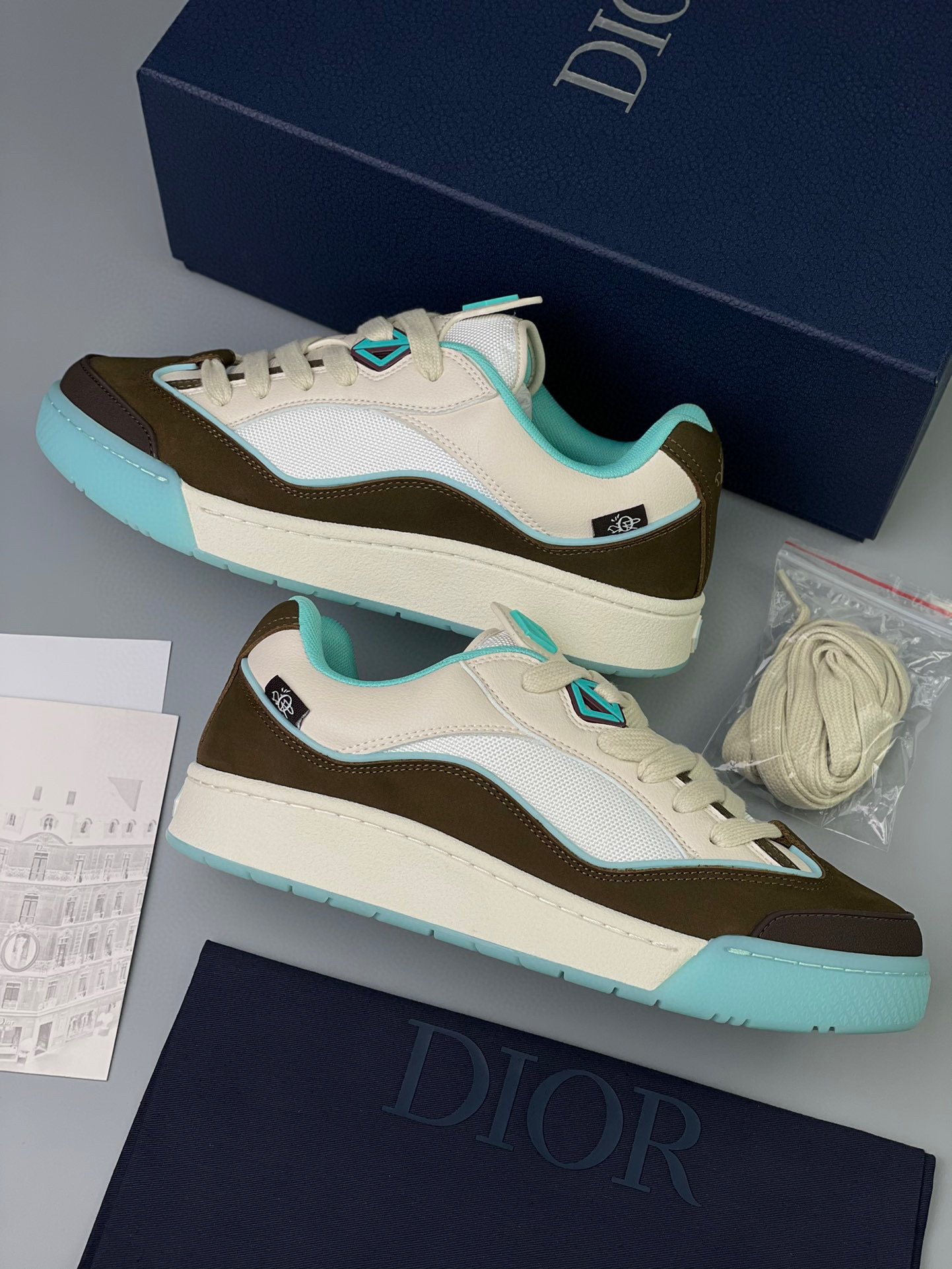 Dior B713 Sneaker – DIOR1166