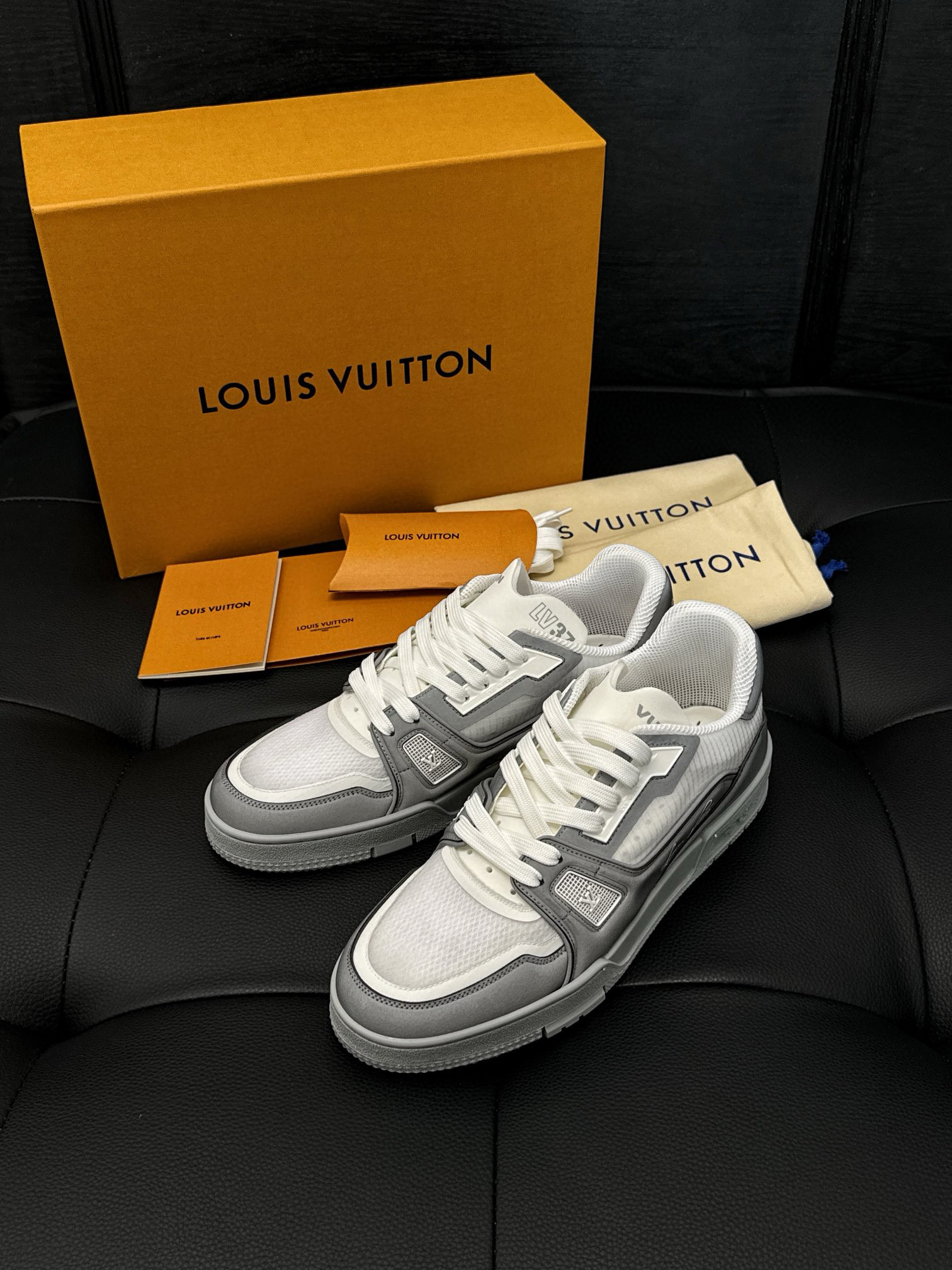 Louis Vuitton Sneaker – LSVT1389