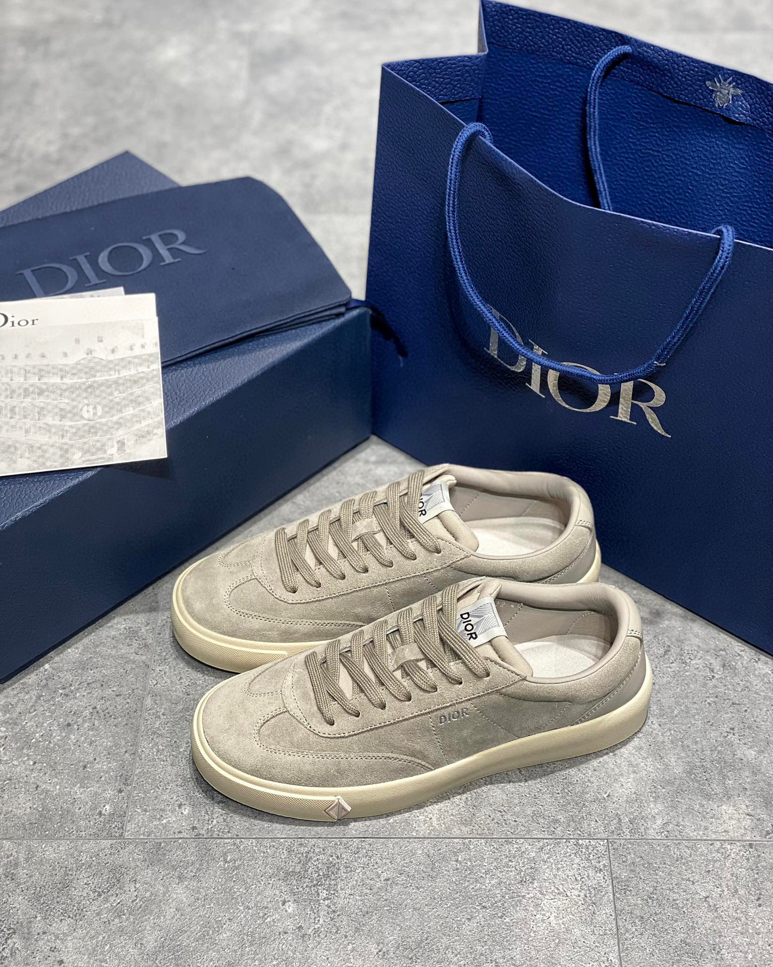 Dior B101 Sneaker – DIOR1177