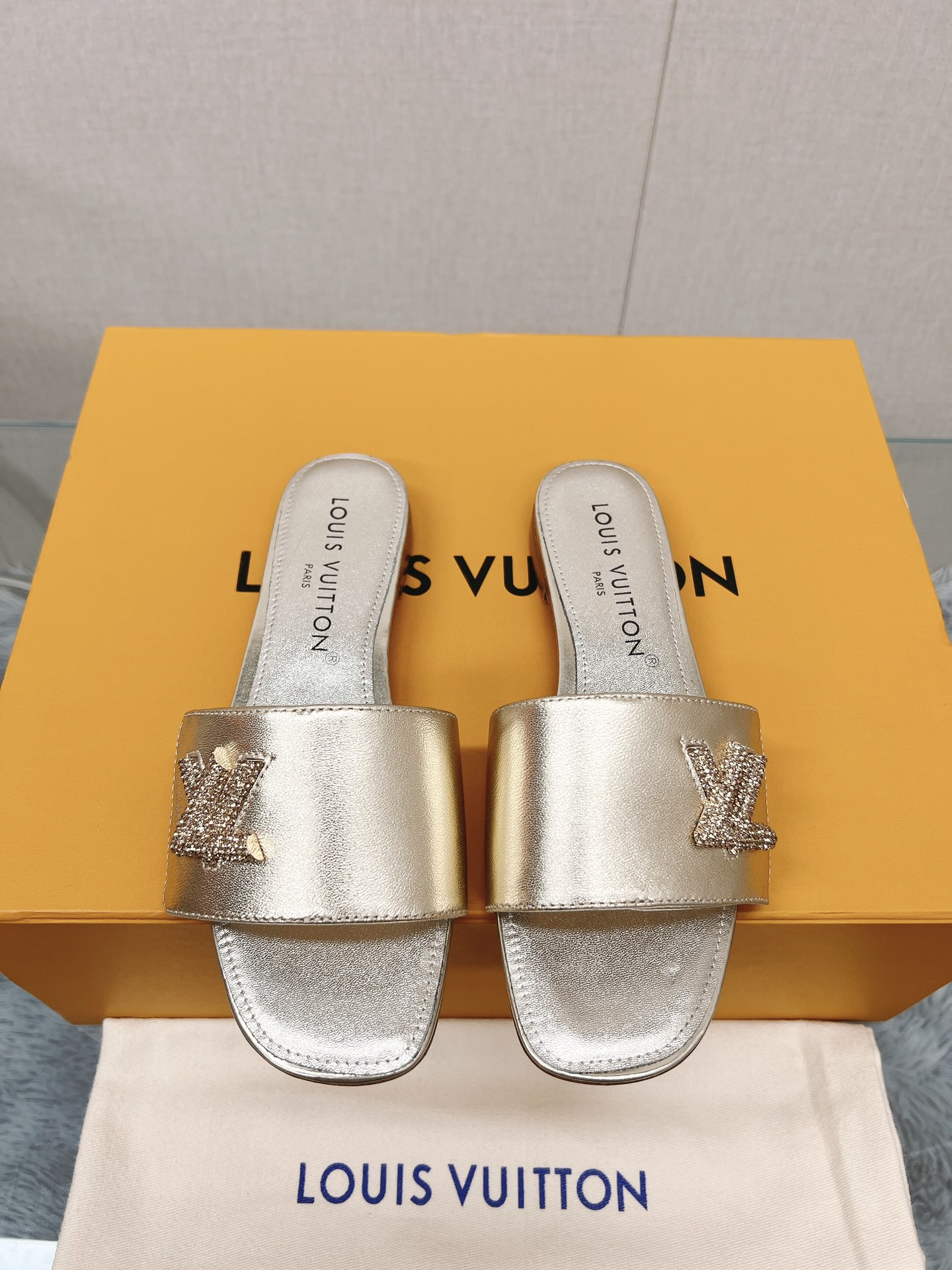 Louis Vuitton Sandal – WOLV1063