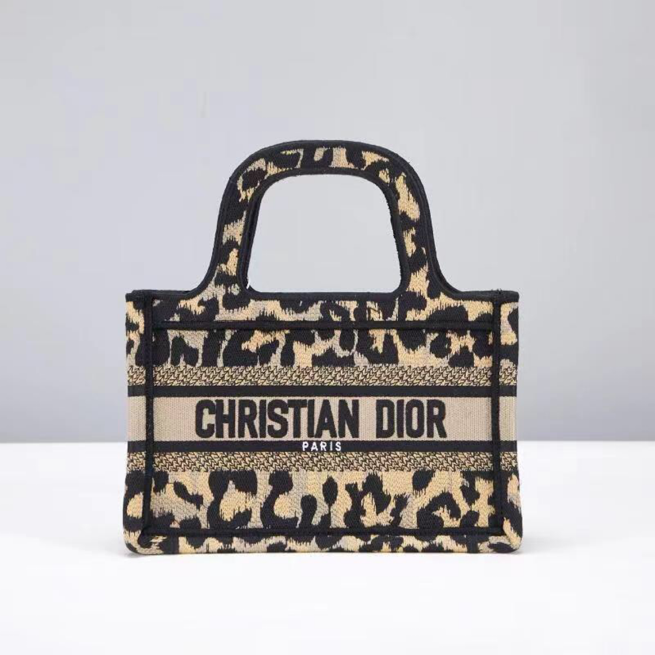 Dior Bag Mini – CDBG1041
