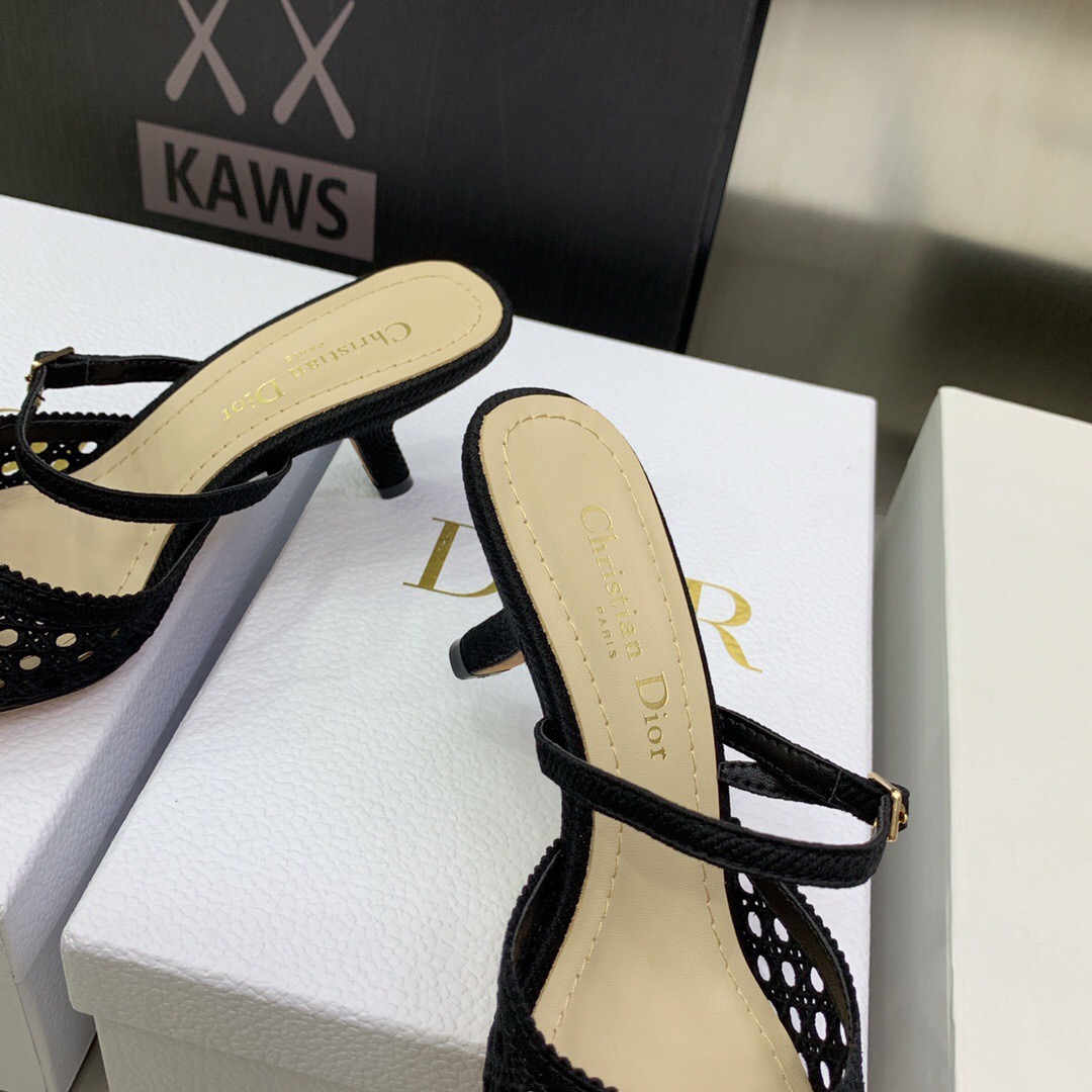 Dior Pumps – WOCD1036