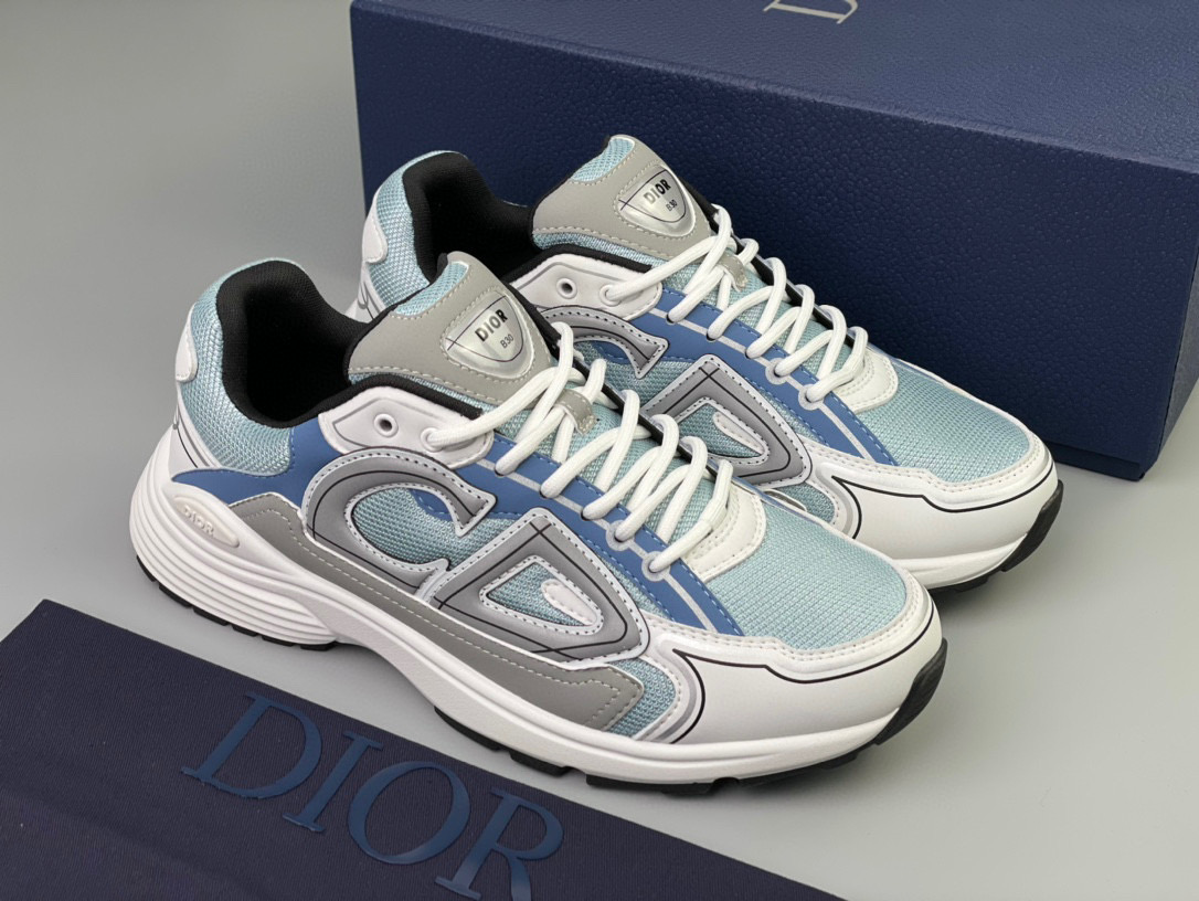 Dior B30 Sneaker – DIOR1181