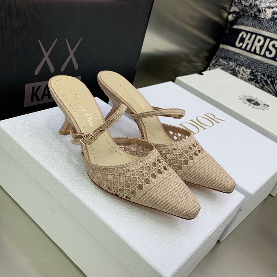 Dior Pumps – WOCD1037