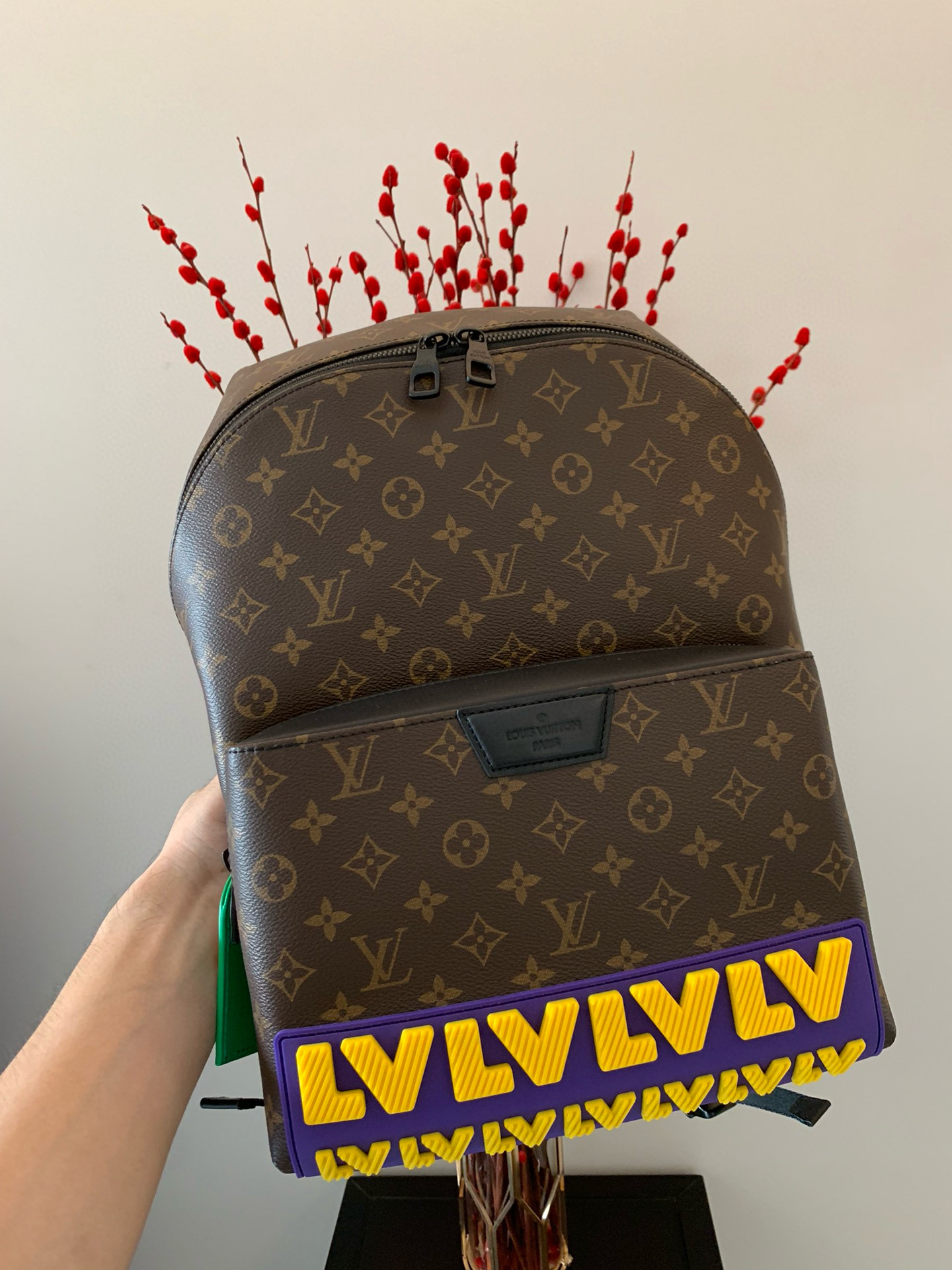 Louis Vuitton Backpack – BBCP1028
