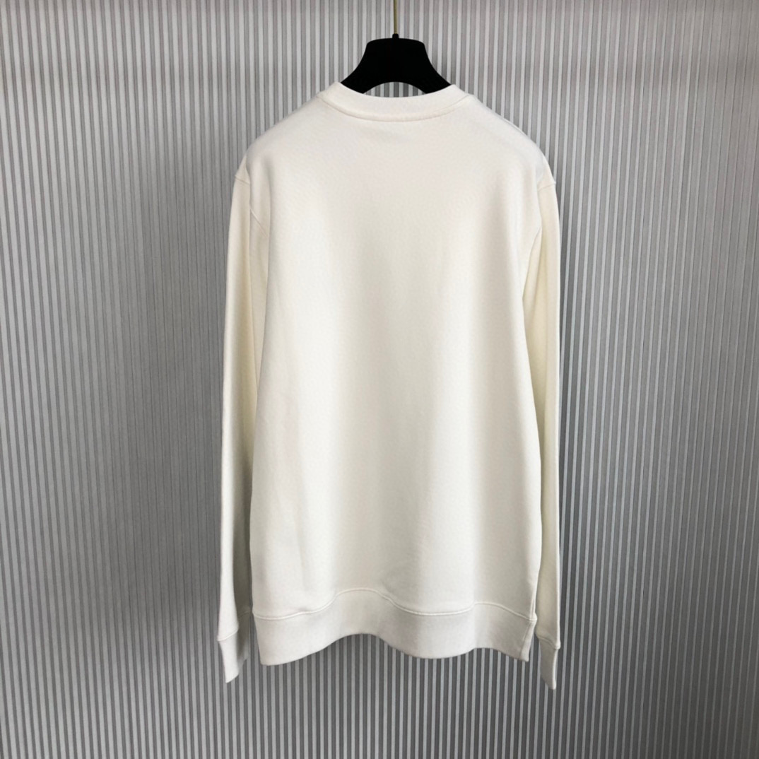 Dior Sweater – SWHO1572