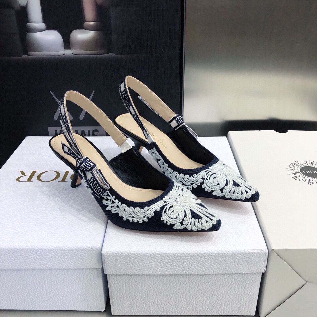 Dior Pumps – WOCD1046