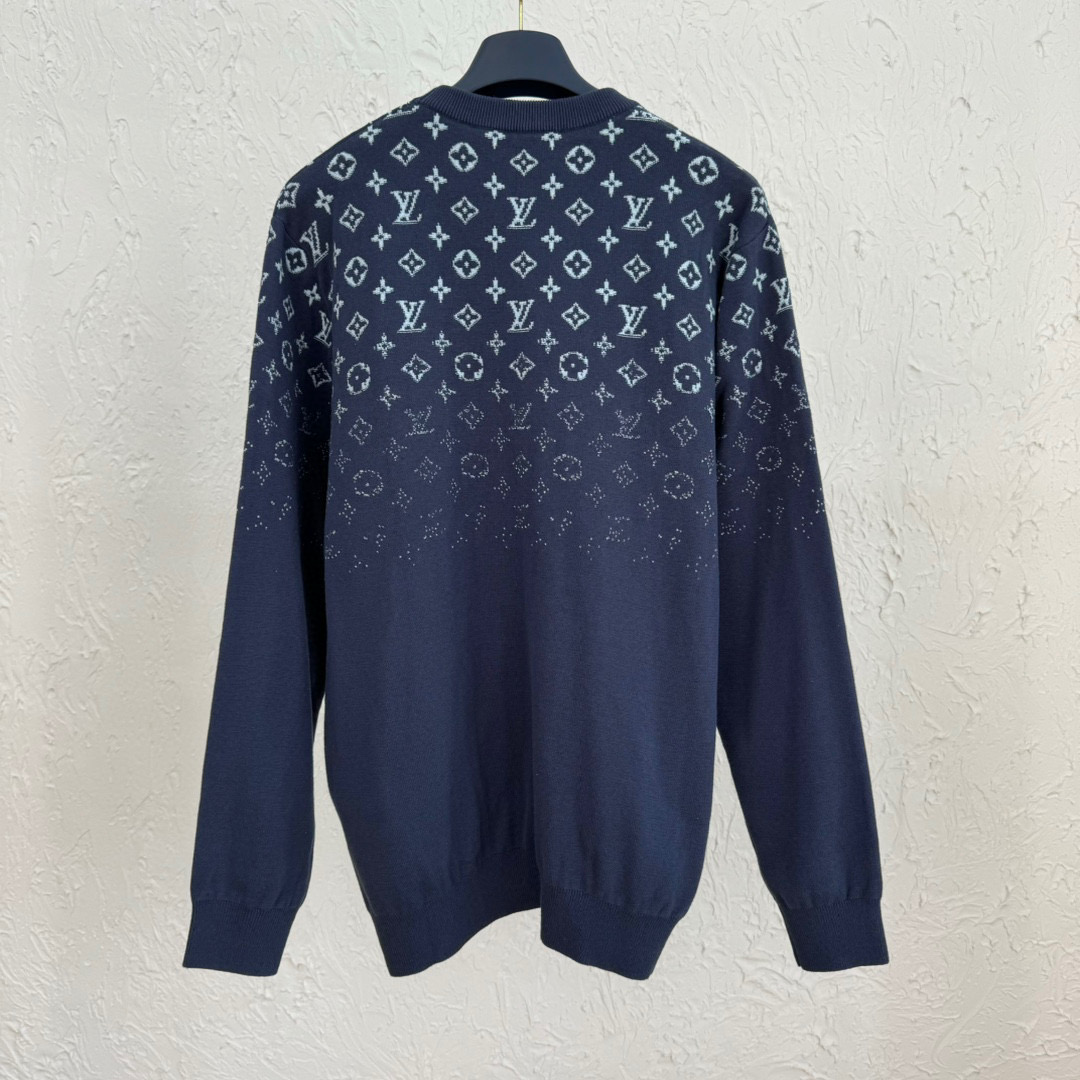 Louis Vuitton Sweater – SWHO2078