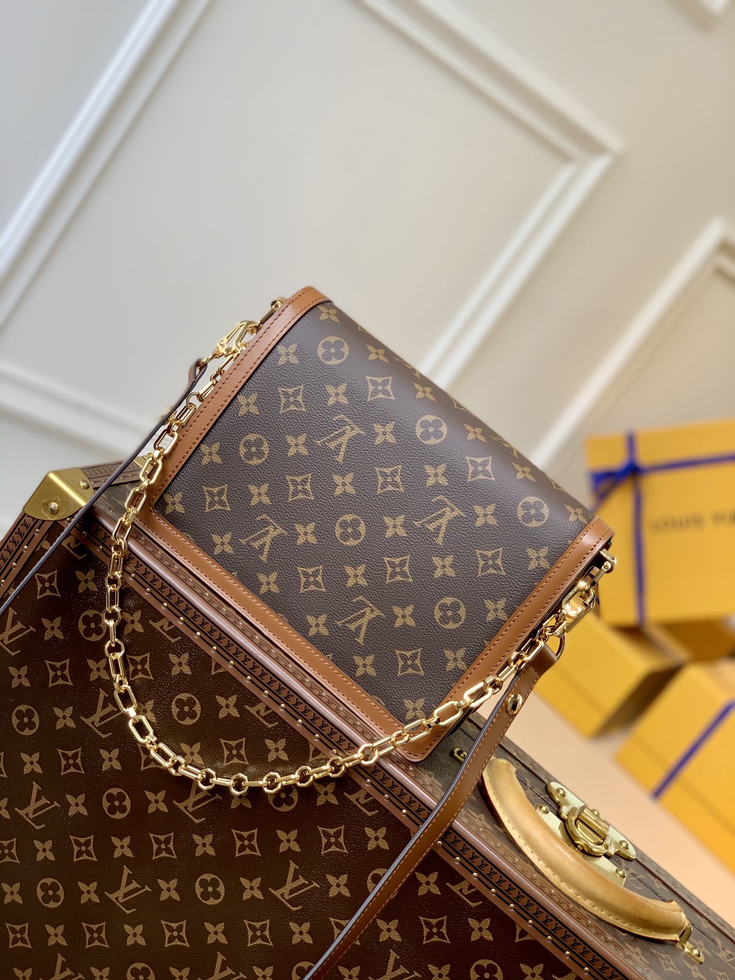 Louis Vuitton Shoulder Bag – LVSH1167