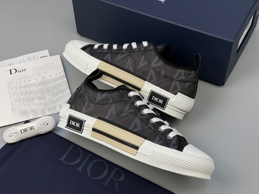 Dior B23 Low Top Sneaker – DIOR1157