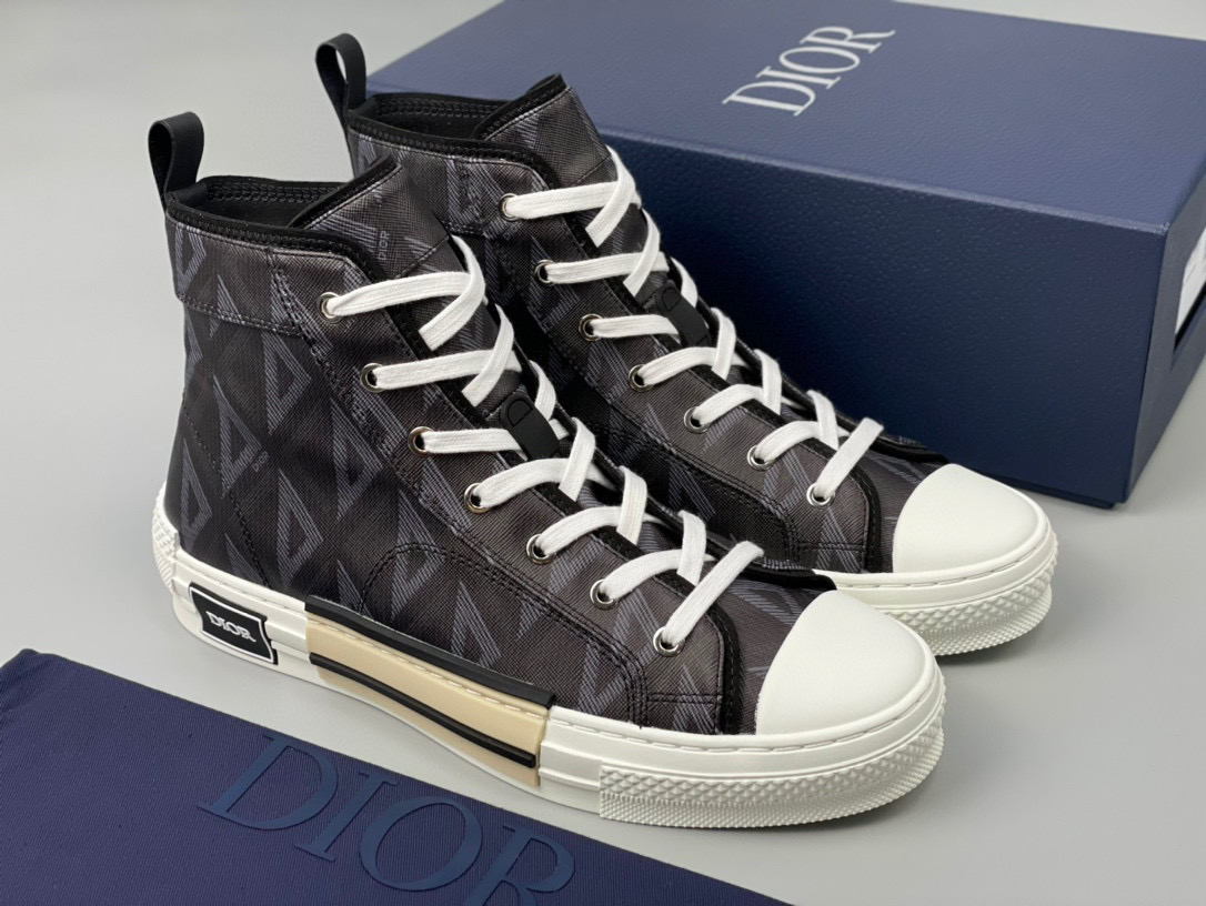 Dior B23 High Top Sneaker – DIOR1156