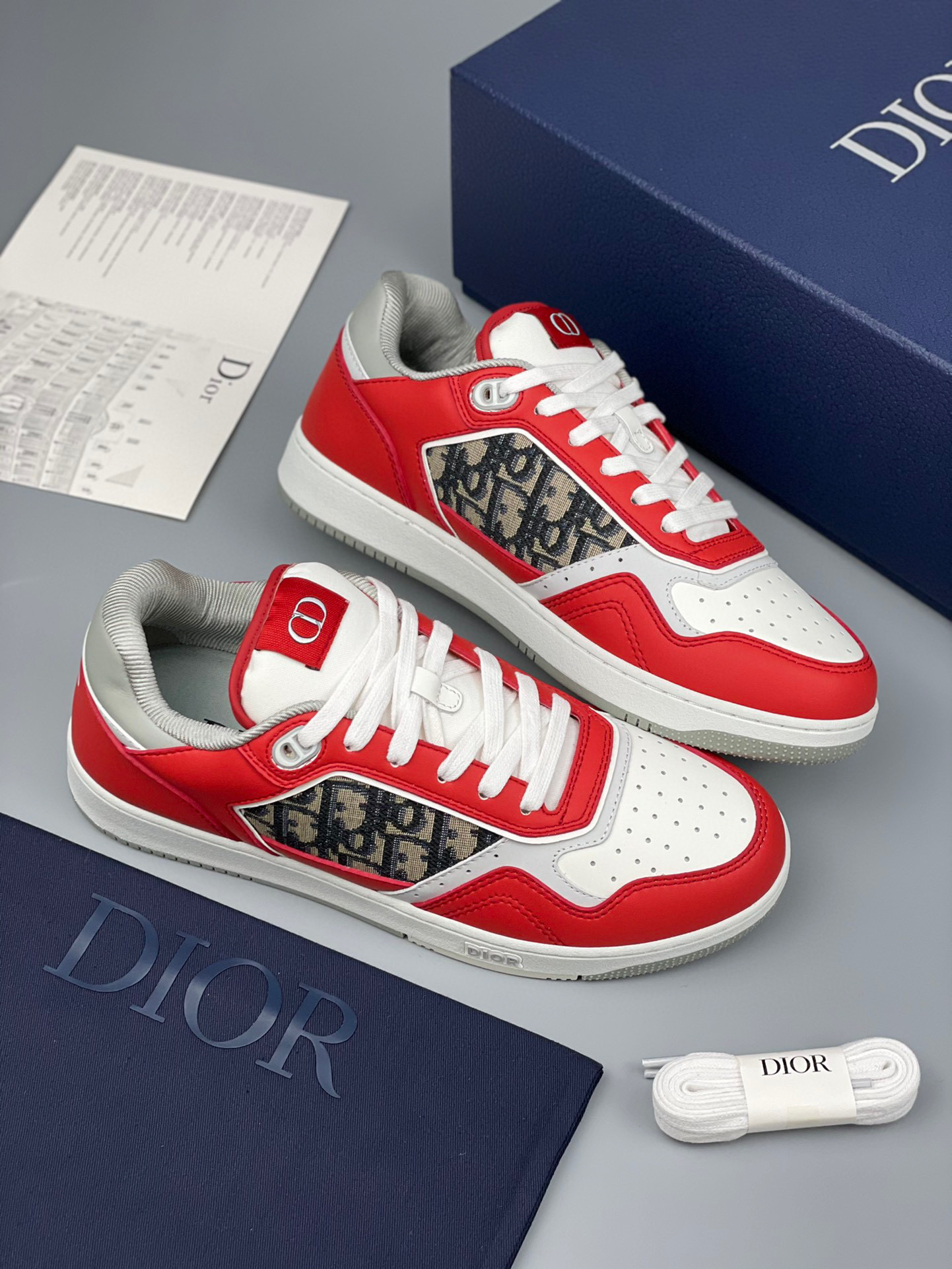 Dior B27 Sneaker – DIOR1132