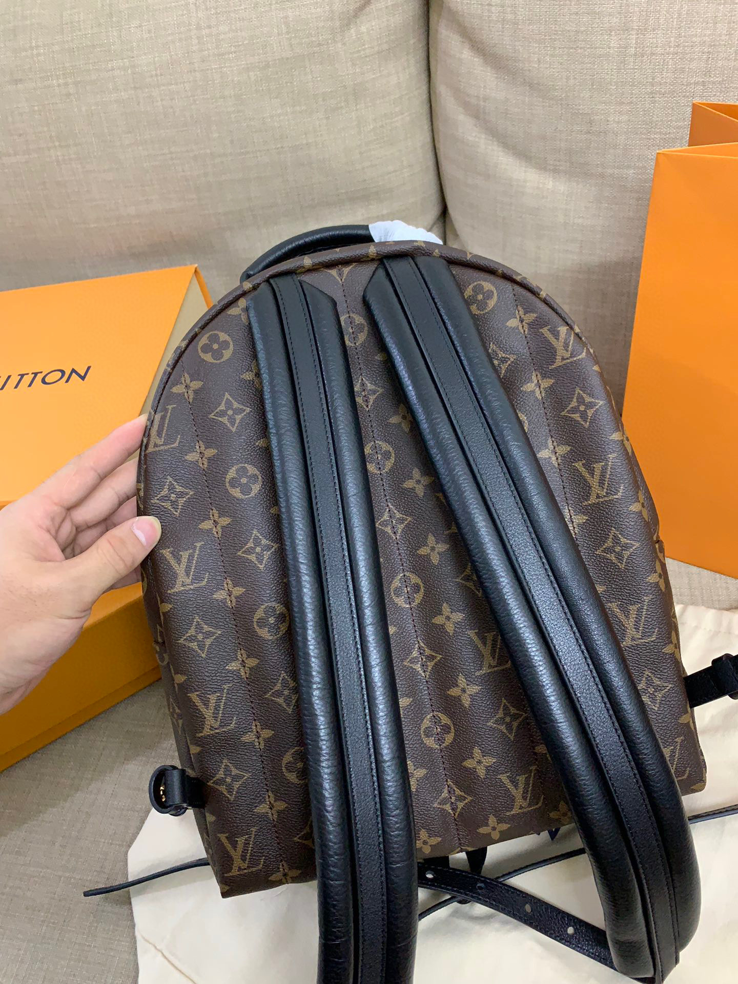 Louis Vuitton Backpacks – LVBG1010