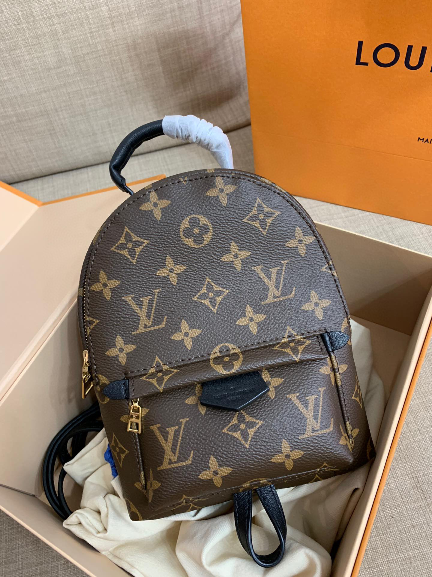 Louis Vuitton Backpacks – LVBG1009