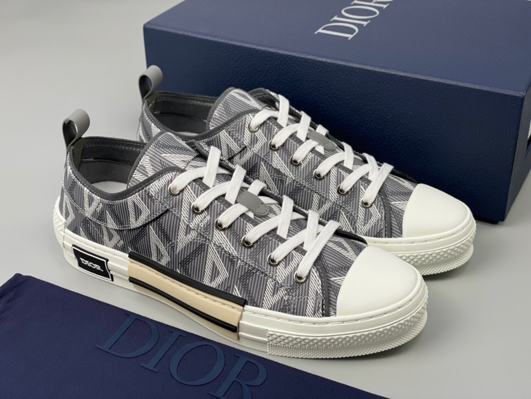 Dior B23 Low Top Sneaker – DIOR1155