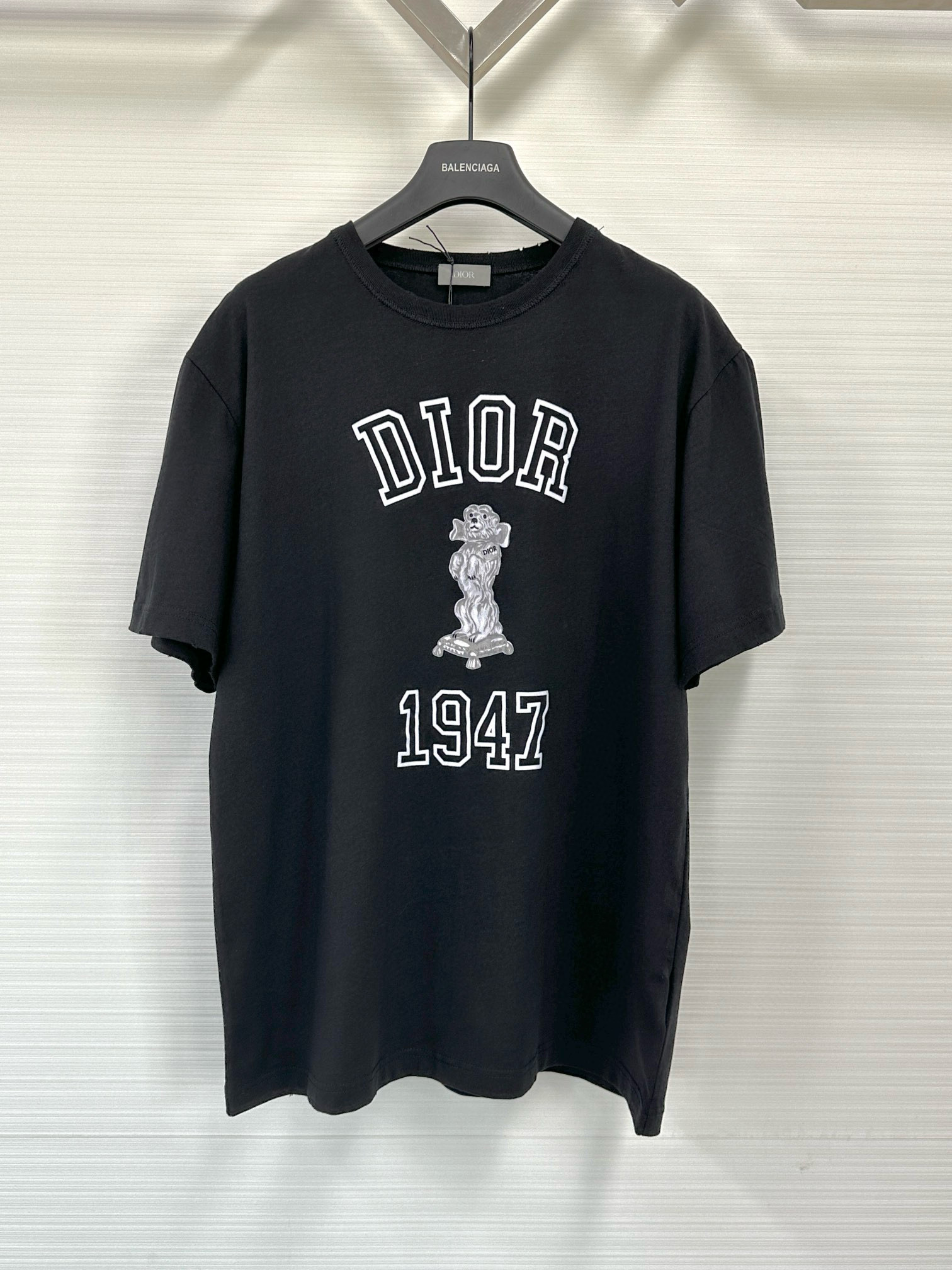 Dior T-Shirt – TSHP2576
