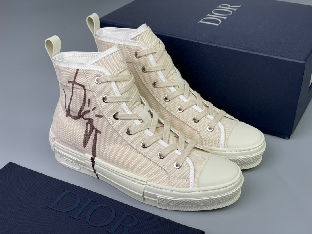 Dior B23 High Top Sneaker – DIOR1159