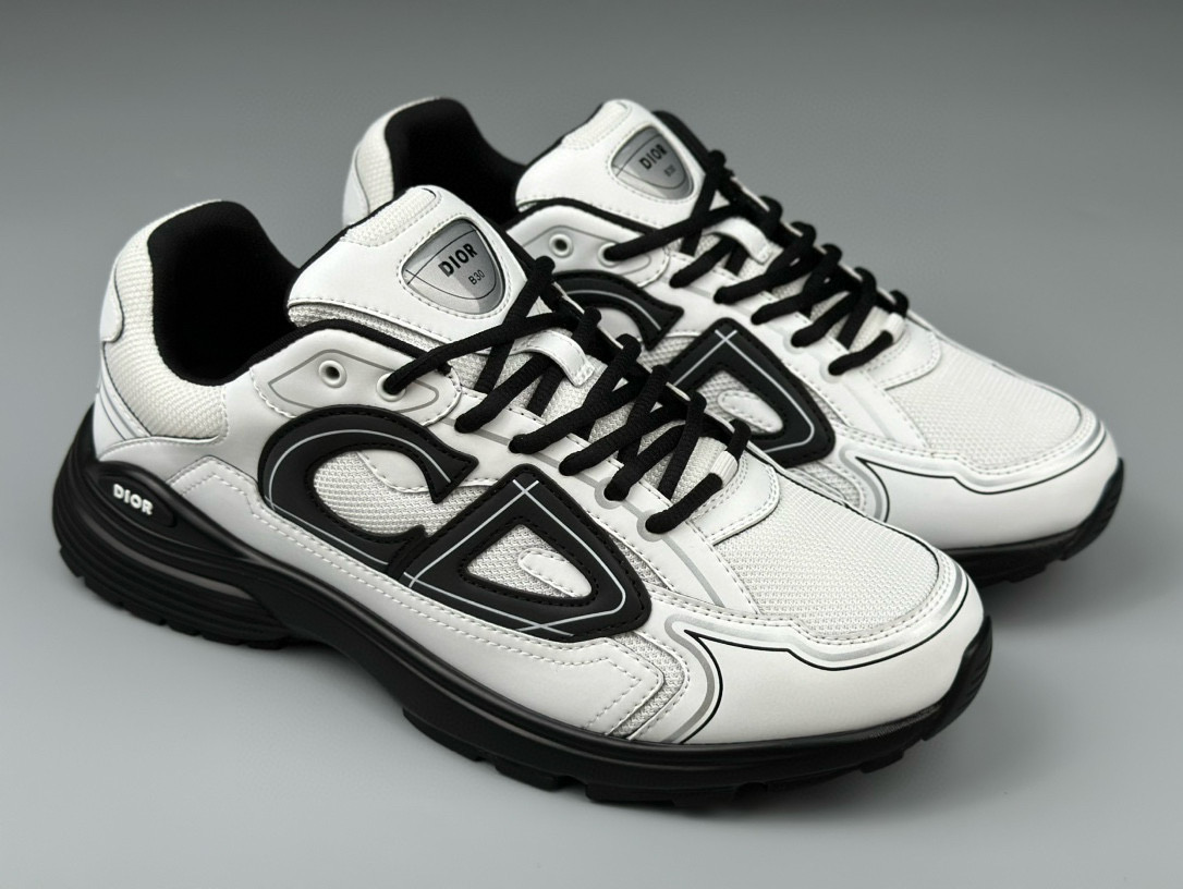 Dior B30 Sneaker – DIOR1267