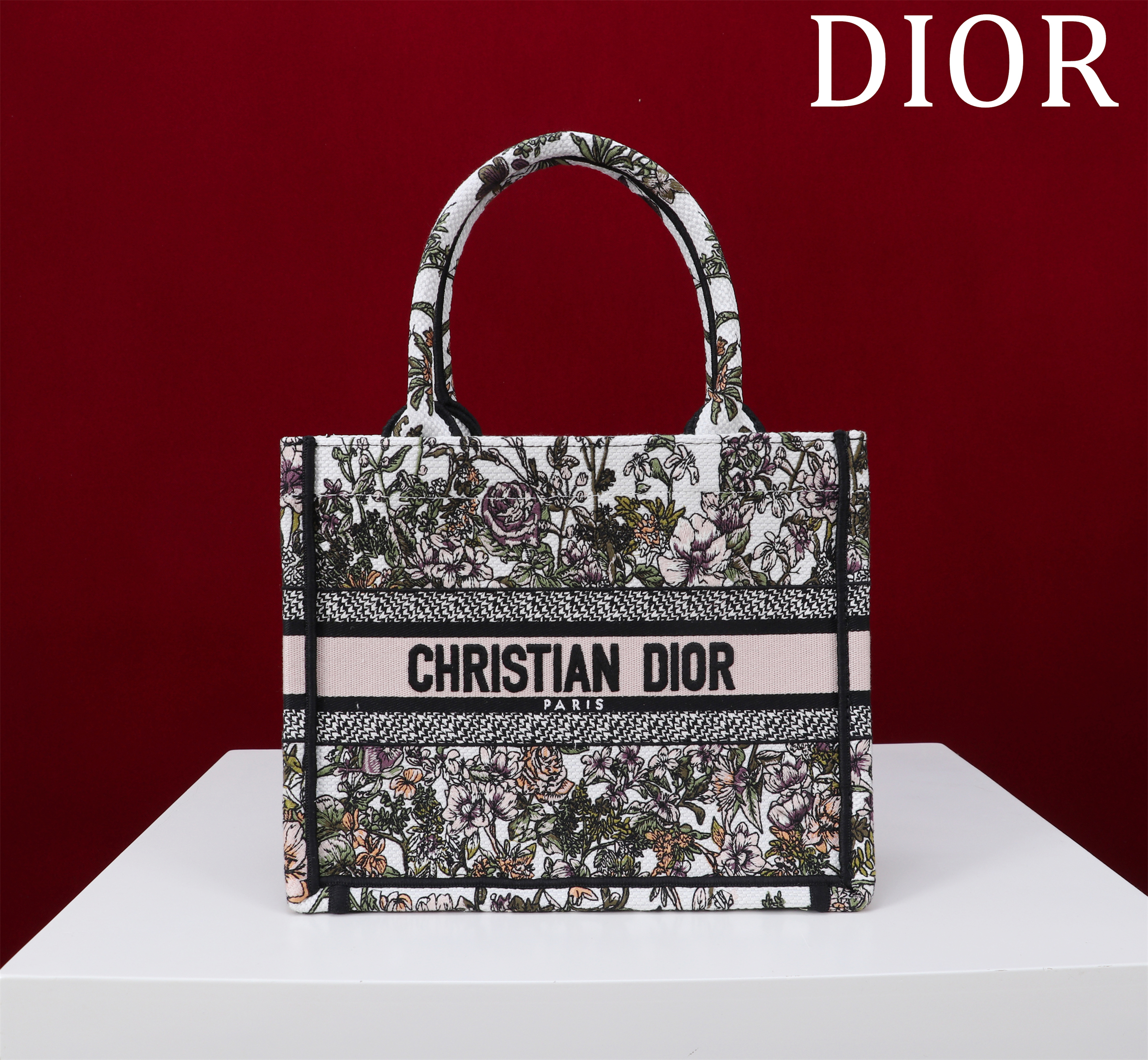 Dior Bag – CDBG1009