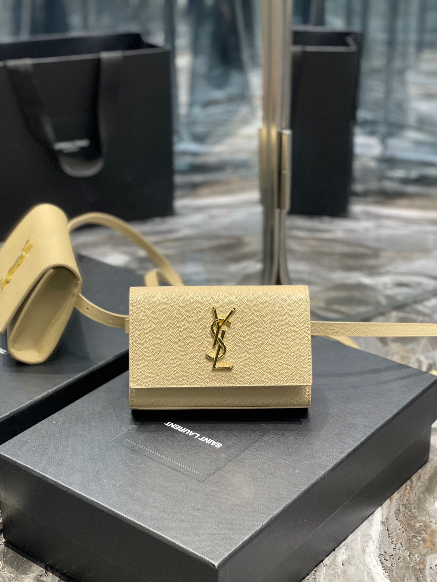Yves Saint Lauren Bag – YSLB1073