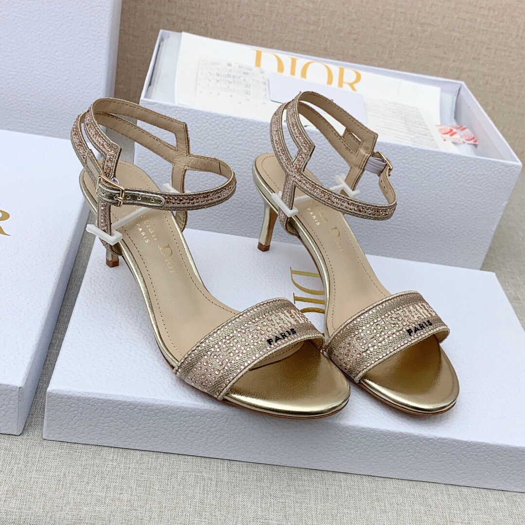 Dior Pumps – WOCD1038
