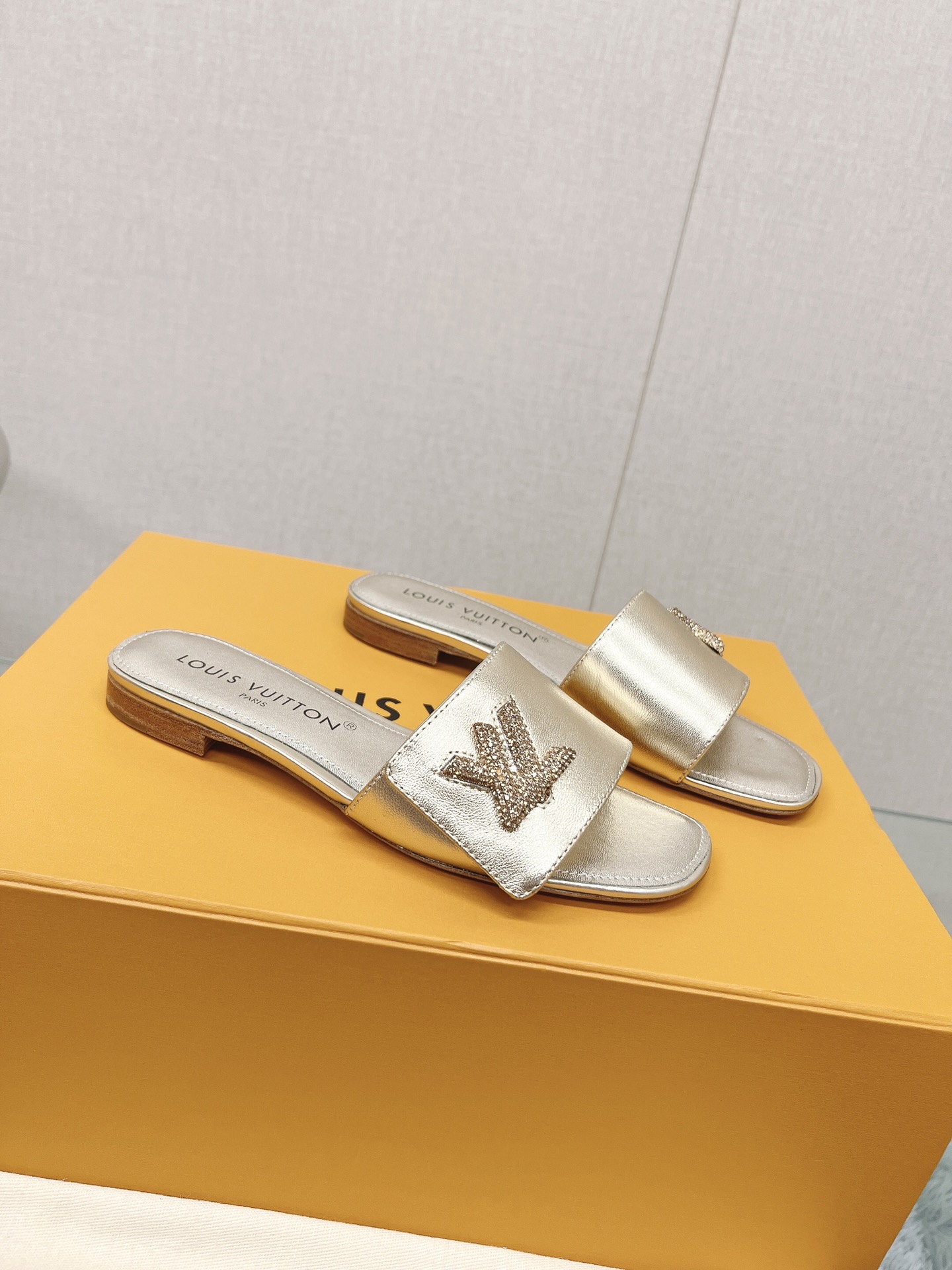 Louis Vuitton Sandal – WOLV1063
