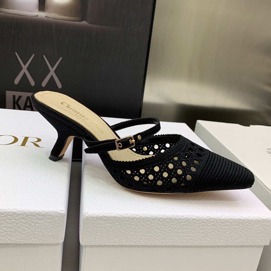 Dior Pumps – WOCD1036