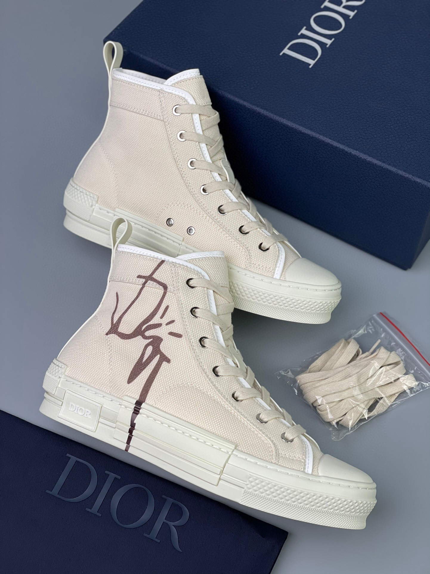 Dior B23 High Top Sneaker – DIOR1159
